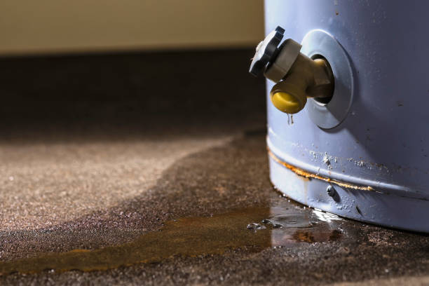 Best Fire Damage Restoration  in Delmar, MD