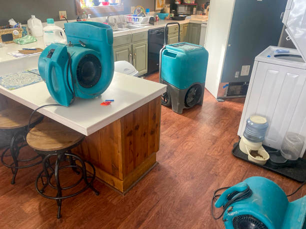 Best Local water damage restoration  in Delmar, MD