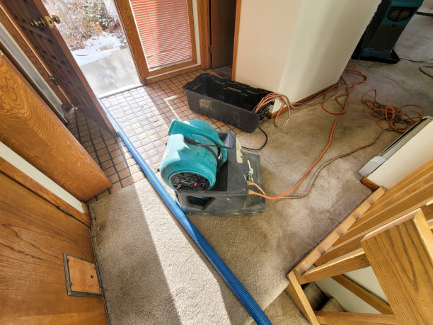 Best Carpet water damage restoration  in Delmar, MD