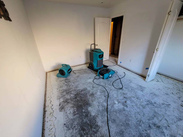 Best Sewage cleanup and water damage restoration  in Delmar, MD