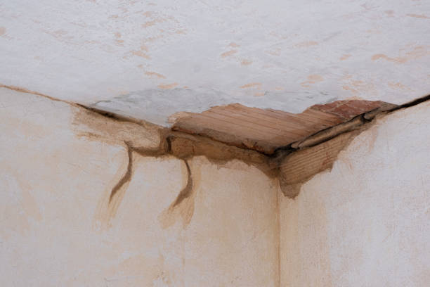 Best Emergency water damage restoration  in Delmar, MD