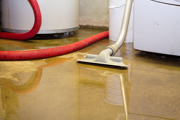Best Residential water damage restoration  in Delmar, MD