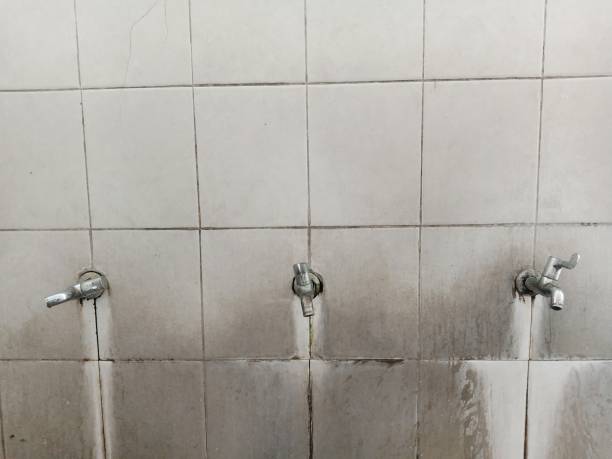 Best Flood damage cleanup  in Delmar, MD