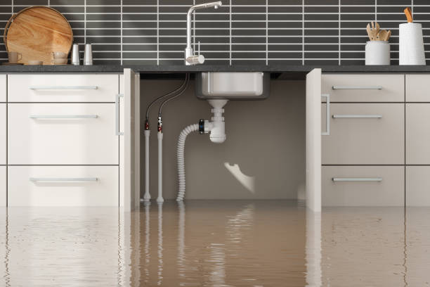 Best Basement water damage restoration  in Delmar, MD